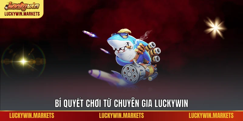 Bí quyết chơi từ chuyên gia Luckywin