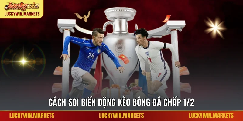 Cách soi biến động kèo bóng đá chấp 1/2