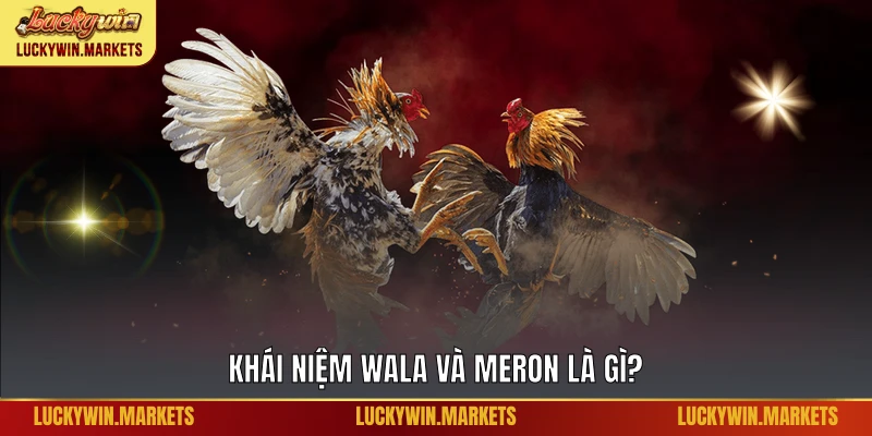 Khái niệm Wala và meron là gì?