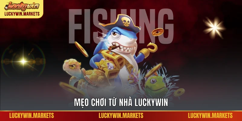 Mẹo chơi từ nhà Luckywin