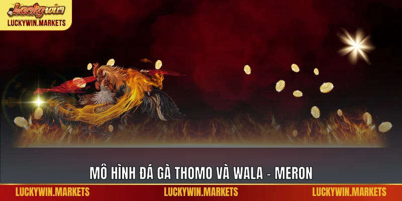 Mô hình đá gà Thomo và Wala - Meron