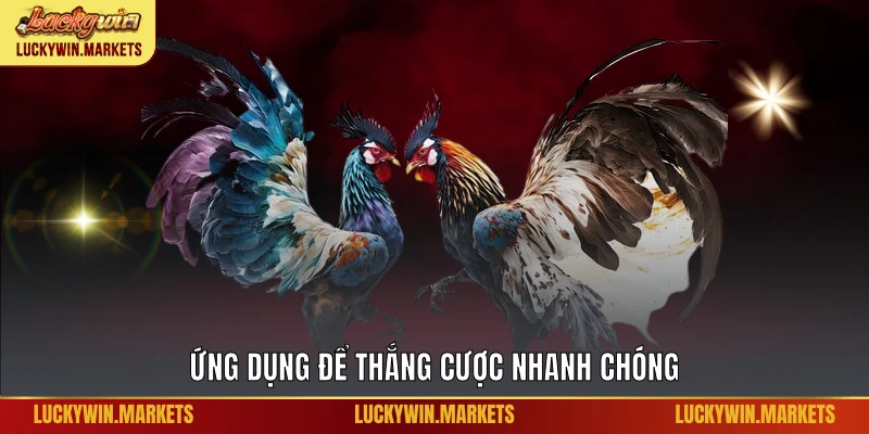 Ứng dụng để thắng cược nhanh chóng