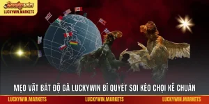 Mẹo vặt bắt độ gà